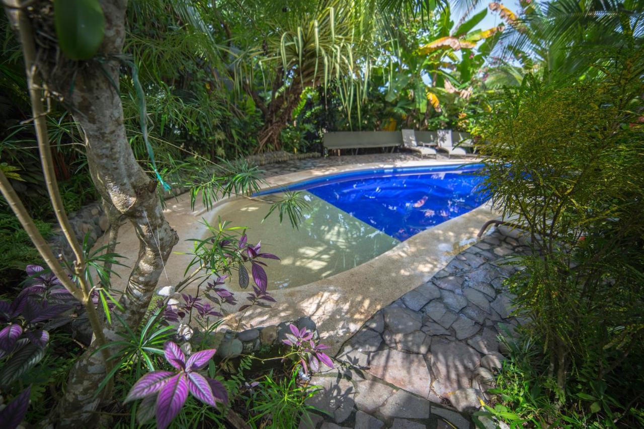 Villas Oasis Manuel Antonio Eksteriør billede